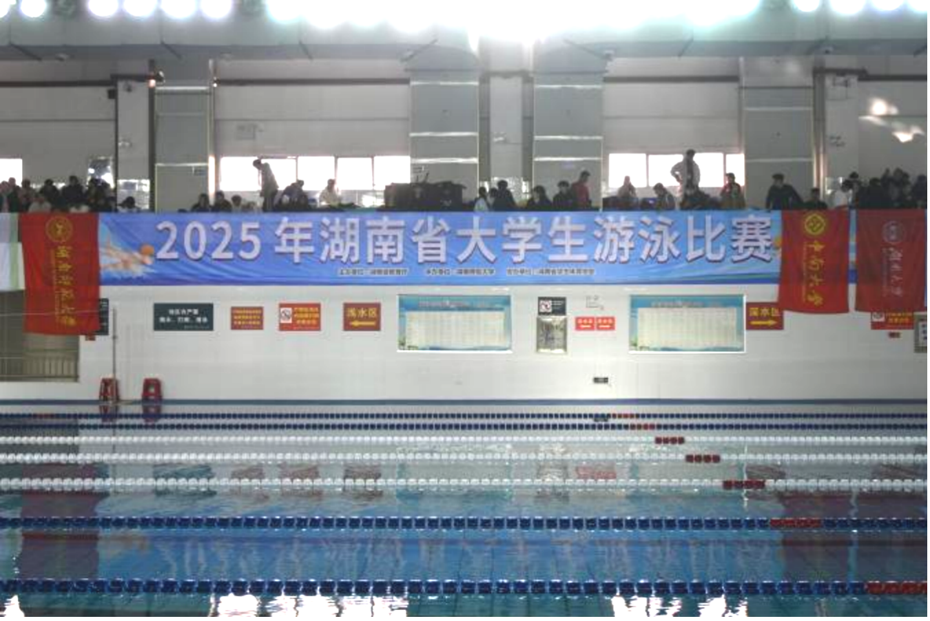 2033B1