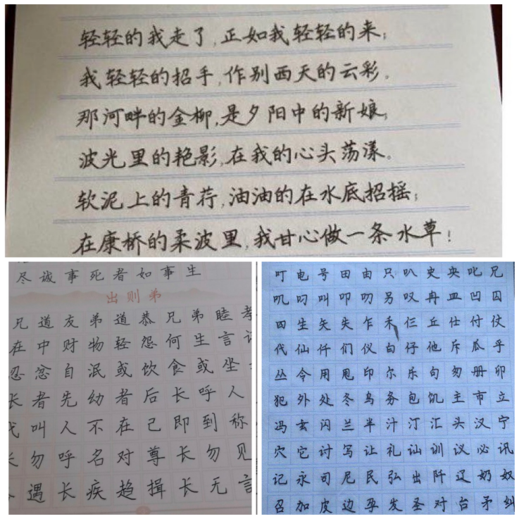 熊猫体育