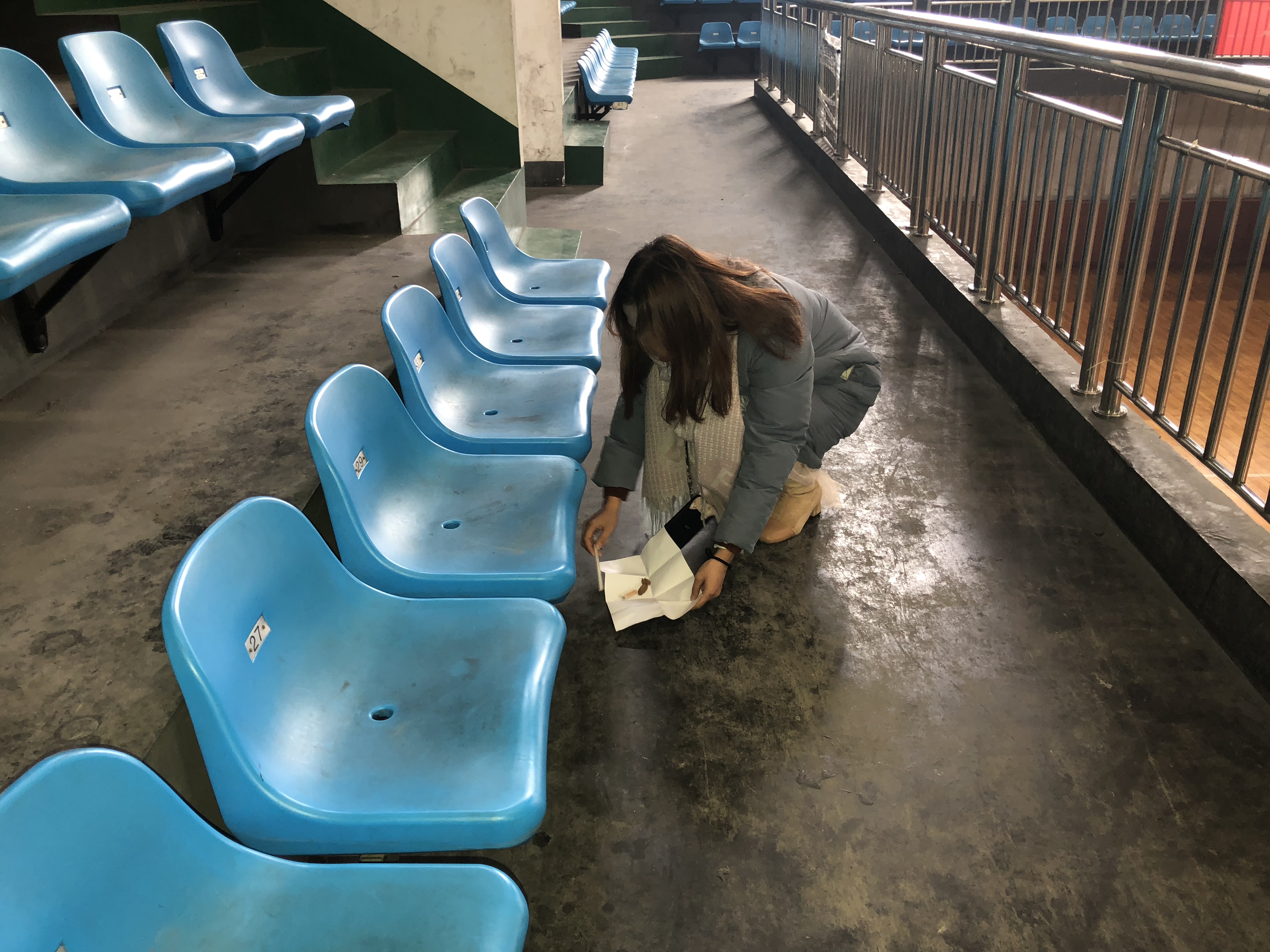熊猫体育