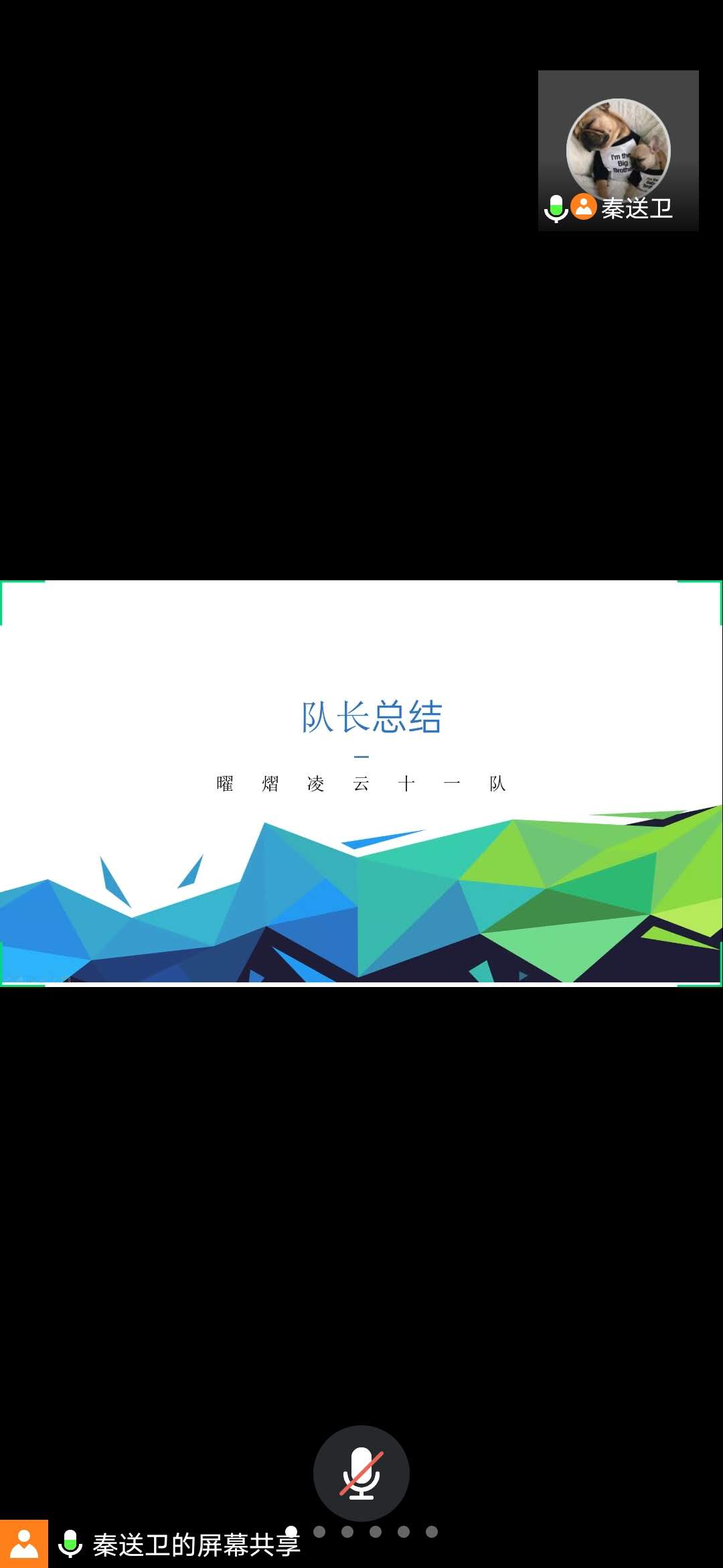 熊猫体育