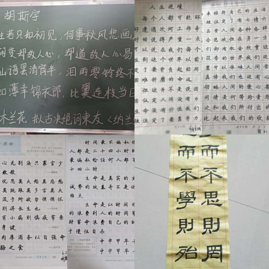 熊猫体育